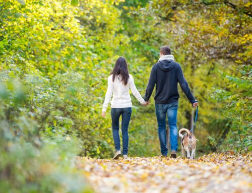 Stay Strong This Season with Immune-Boosting Wellness Tips